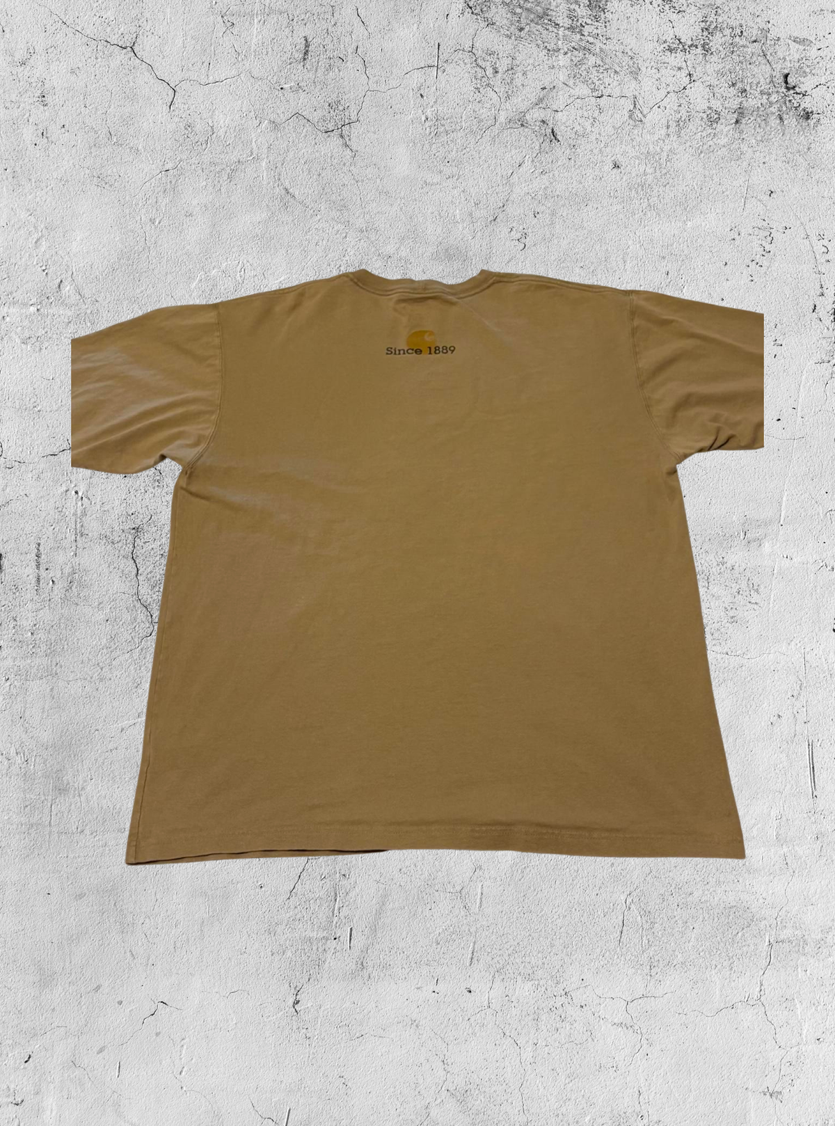 Carhartt 半袖Tシャツ size:M