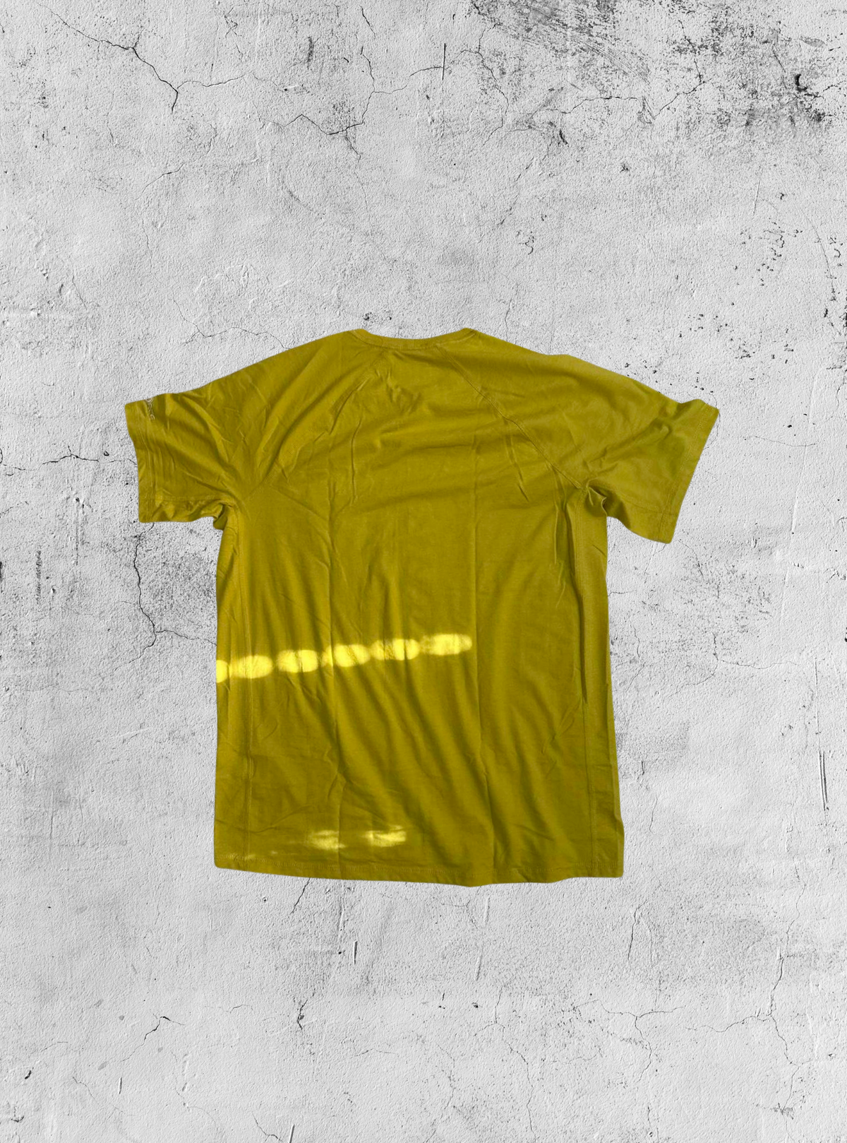 carhartt 半袖Tシャツ size:M