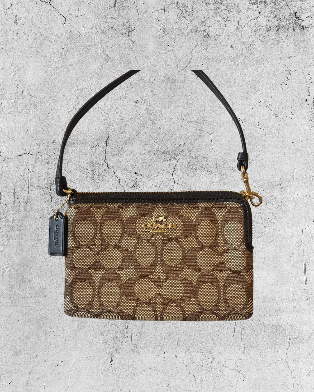 coach ポーチ